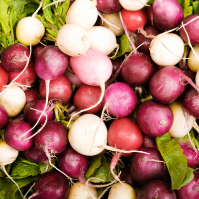 10 Best Plants for Kids Gardens