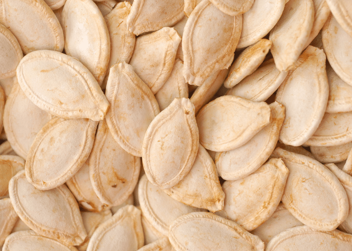 close up of squash seeds, probably pumpkin. Whole, still in hull and able to be planted.