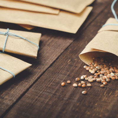 How to Save Seeds: The Big Picture of Seed Saving