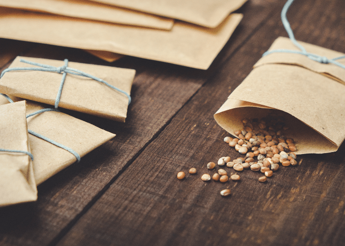 saved seeds in a brown envelope on a dark wood table.