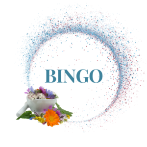 HSS-Bingo-