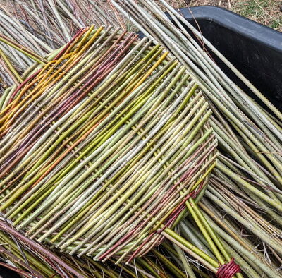 The Easiest Willow Basket to Make From Foraged Material